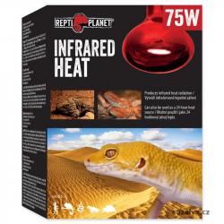 Žárovka RP Infrared HEAT (75 W) 