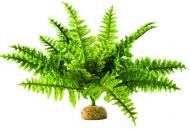 Umělá tropická rostlina - Boston Fern 17 cm