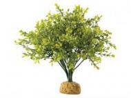 Umělá tropická rostlina - Boxwood Bush