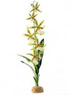 Umělá tropická rostlina - Spider Orchid