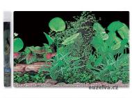 Pozadí tapeta ráj rostlin 80 x 40 cm