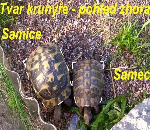 100_9013.jpg
