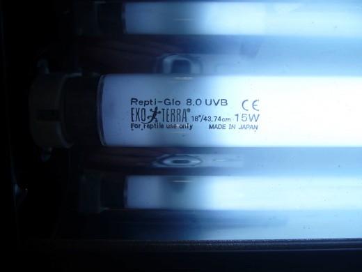 M%C4%9B%C5%99en%C3%AD-UV-lamp-7.10.-025.jpg