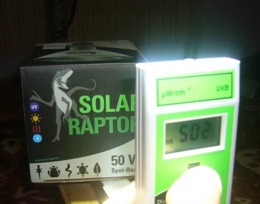 solar-raptor-047.jpg